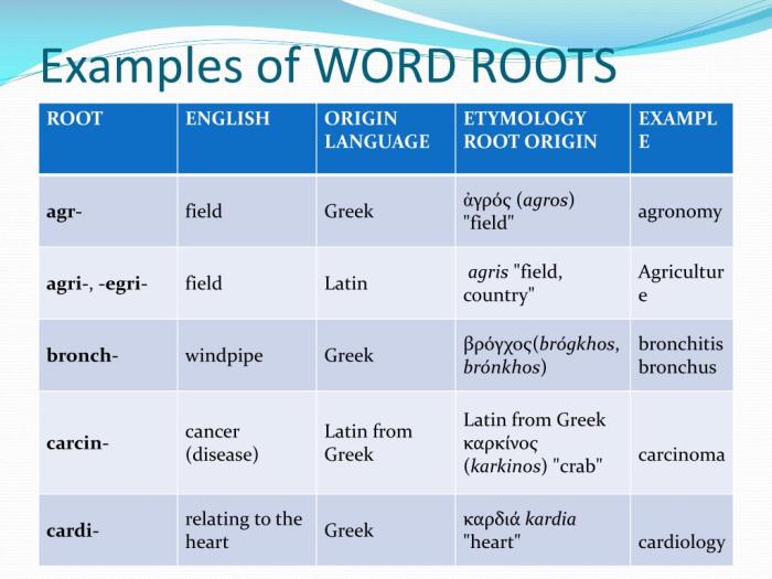 Root words anchor word chart grade roots latin charts work greek 5th using examples tree teaching