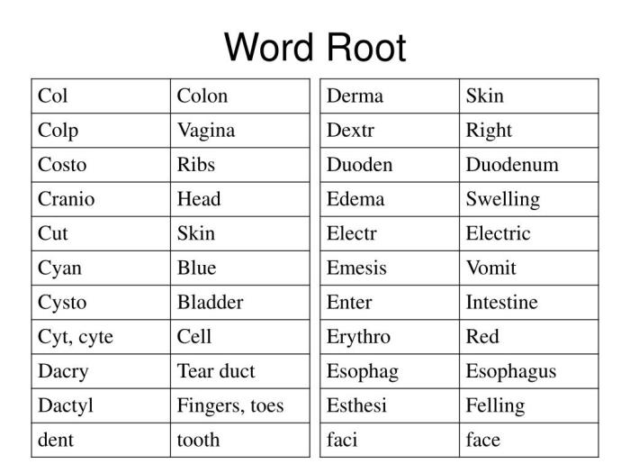 Words with the root ob