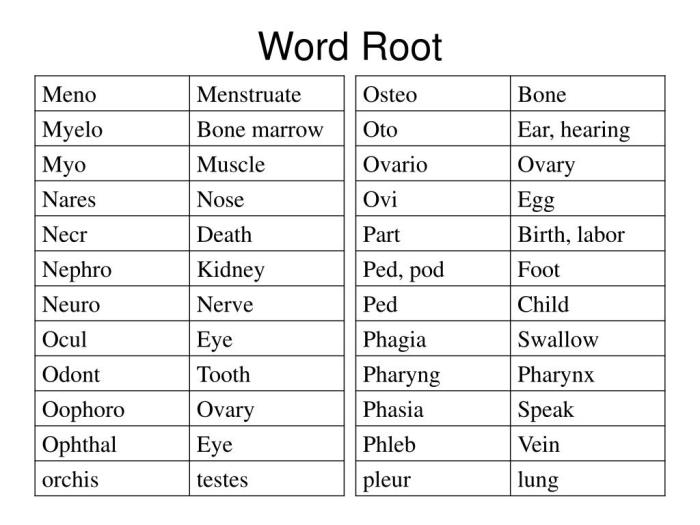 Words with the root ob