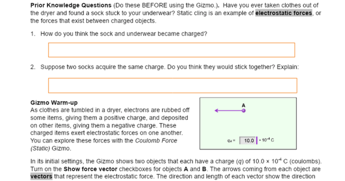 Coulomb force static gizmo answers