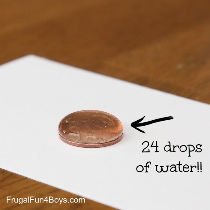 Drops on a penny lab pdf answers