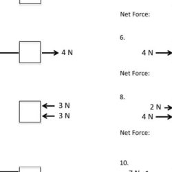 Calculating net forces worksheet answer key