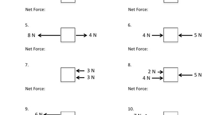 Calculating net forces worksheet answer key